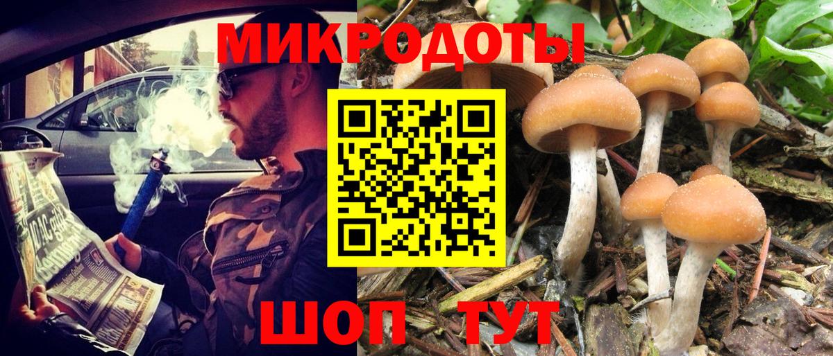 Псилоцибиновые грибы Magic Shrooms Волжск