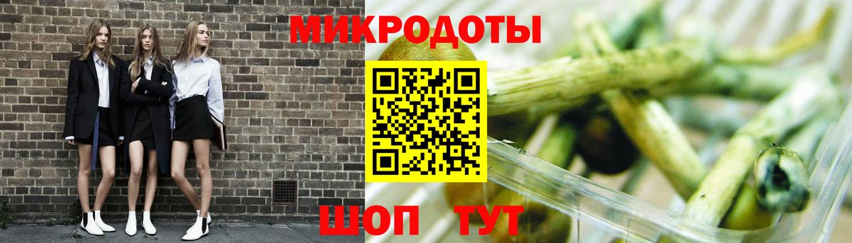 Волжск  Псилоцибиновые грибы Psilocybe  Псилоцибиновые грибы Psilocybe  Вход с VPN 